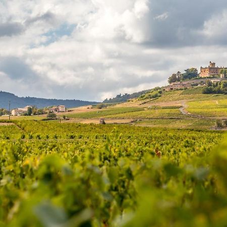 Douceurs Des Vignes Du Vivian Denicé Exterior foto