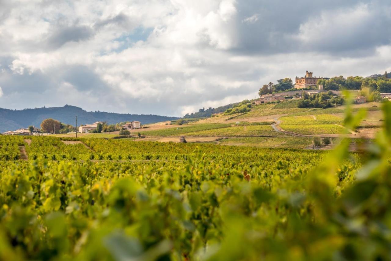 Douceurs Des Vignes Du Vivian Denicé Exterior foto
