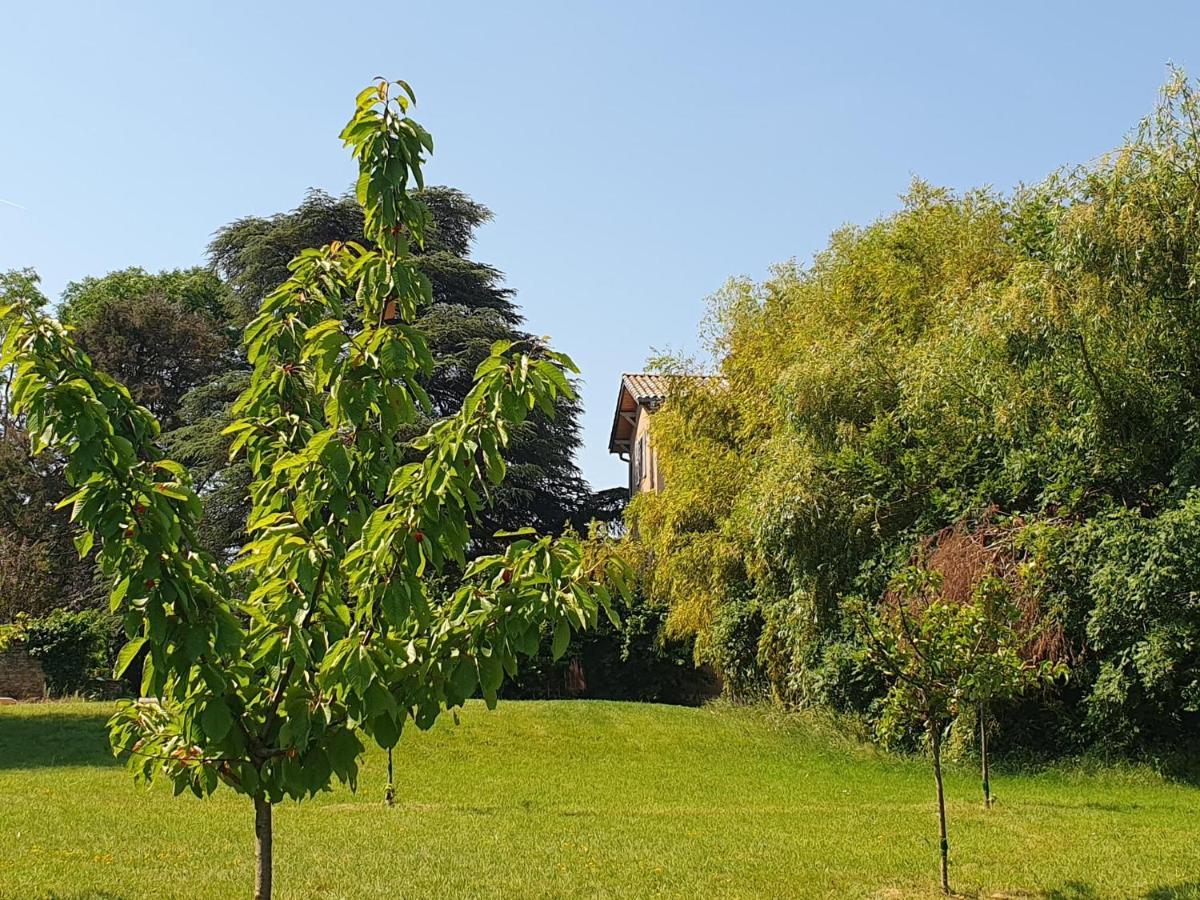 Douceurs Des Vignes Du Vivian Denicé Exterior foto