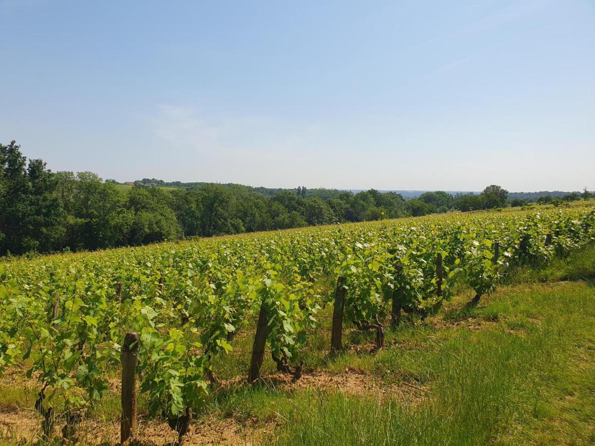 Douceurs Des Vignes Du Vivian Denicé Exterior foto